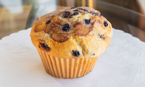 Blueberry Muffin